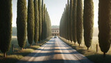 A long gravel driveway lined by tall, slender cypress trees, leading up to a rustic house in the distance