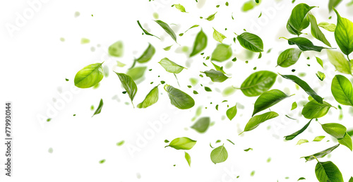 Dynamic Leaves Blowing in the Wind on White Background - Nature Concept