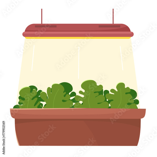 Growing lettuce under a lamp, seedlings, spring planting. Vector illustration. © EkaterinaGr