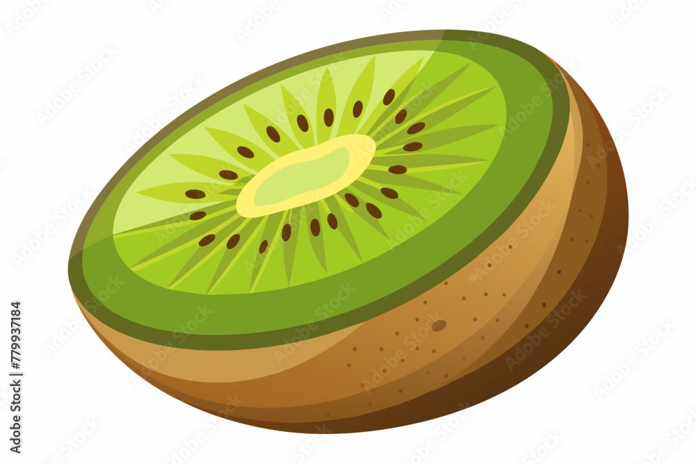 Kiwifruit vector on white background .
