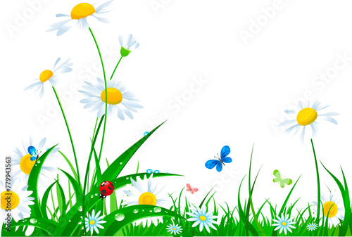 summer meadow flowers with insects. vector illustration of flat concept floral .PNG 