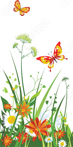 Meadow color background with butterfly and sun. All objects are separated. Vector illustration with transparency.PNG