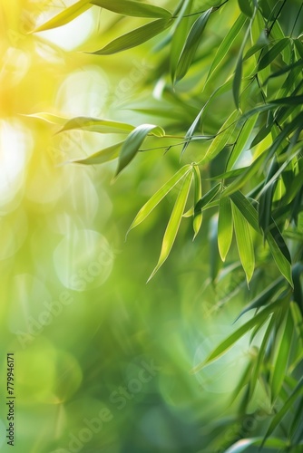 Whispers of Serenity: Bamboo Leaves Basking in Sunlit Harmony - Generative AI