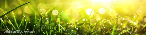 Dancing Light on Dewy Grass: A Fresh Dawn's Luminous Embrace - Generative AI