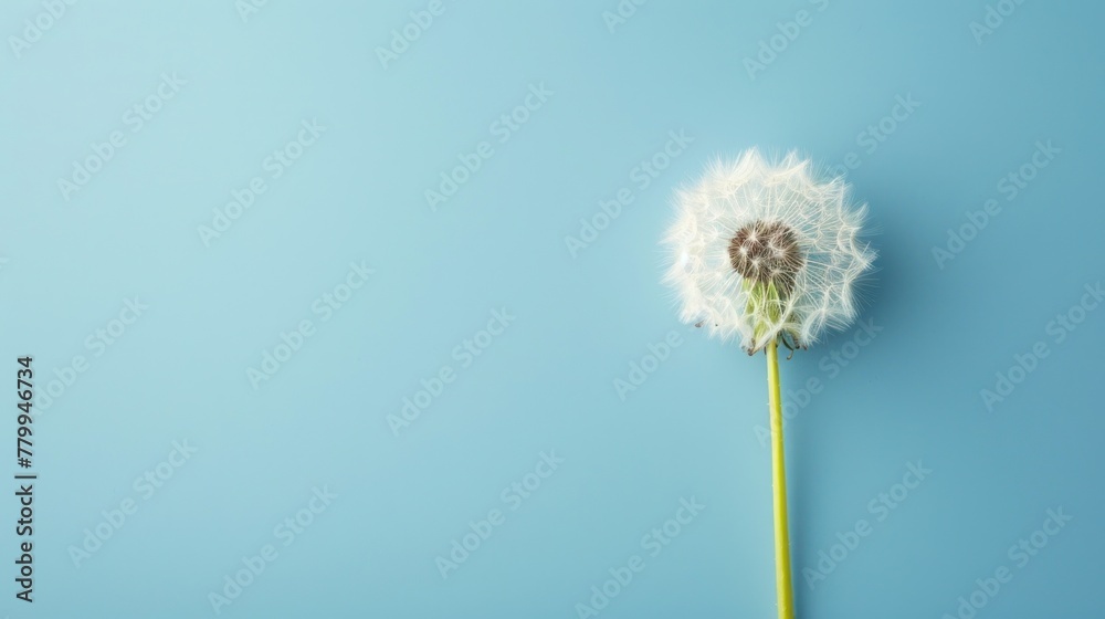 Serene Dandelion Wish Against a Pastel Blue Heaven - A Generative AI Creation