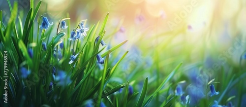 Sun-Kissed Verdure: A Symphony of Light Among Spring Bluebells - Generative AI
