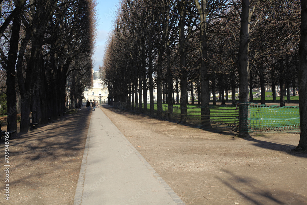 Rows of trees on each side of a pathway with the senate in the distance - jardin du luxembourg - Paris - France