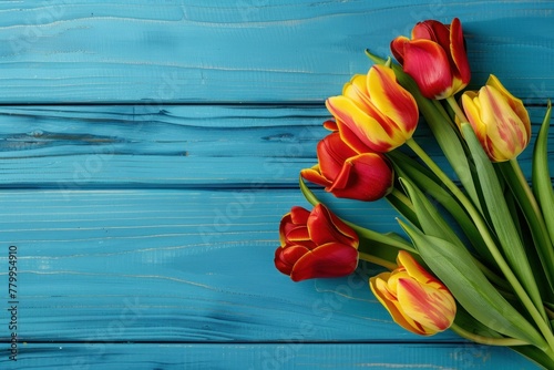 Tulips on blue wooden background. Top view with copy space. Valentine s Day  Woman s Day  Mother s Day  Easter.