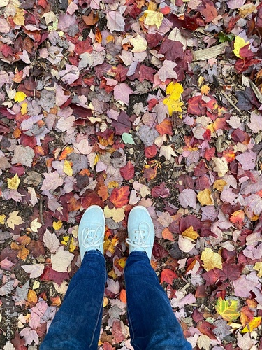 Feet in autumn leaves. Woman's shoes on the ground at fall. Person walking on colored leaves in a park.