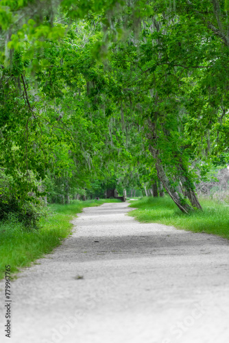 Footpath in the park, Brazos Bend State Park, Houston, Texas, USA 