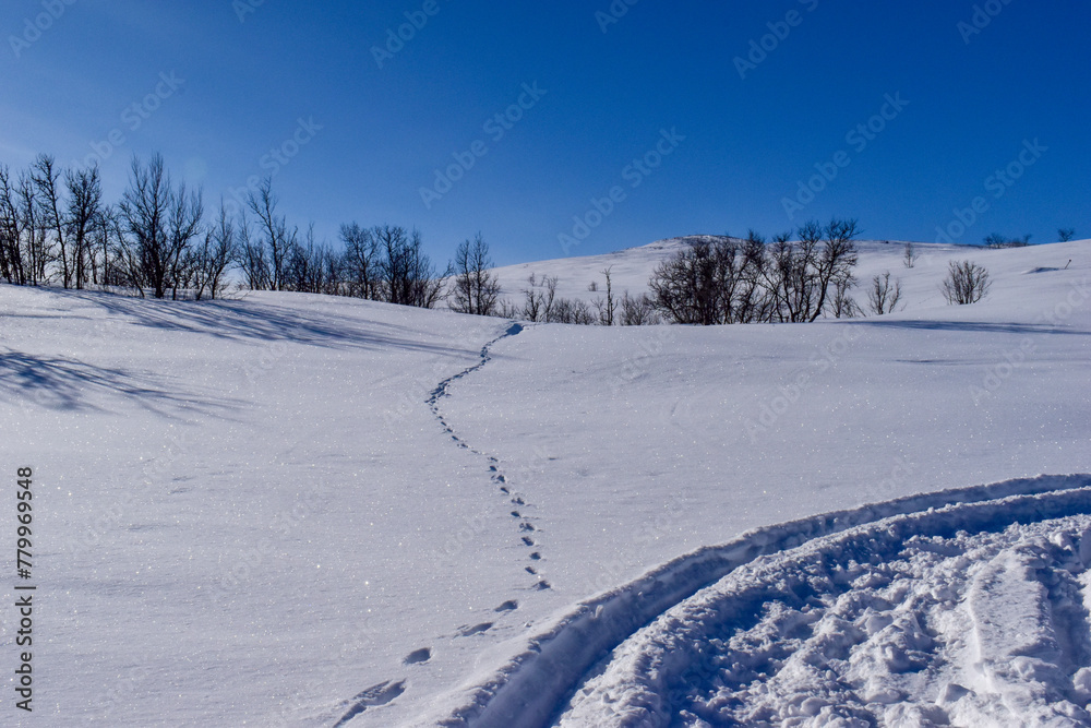 Winter landscape in Pallas Yllastunturi National Park, Lapland