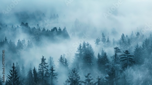 Misty fir or pines forest with fog in the morning landscape. AI generated image photo