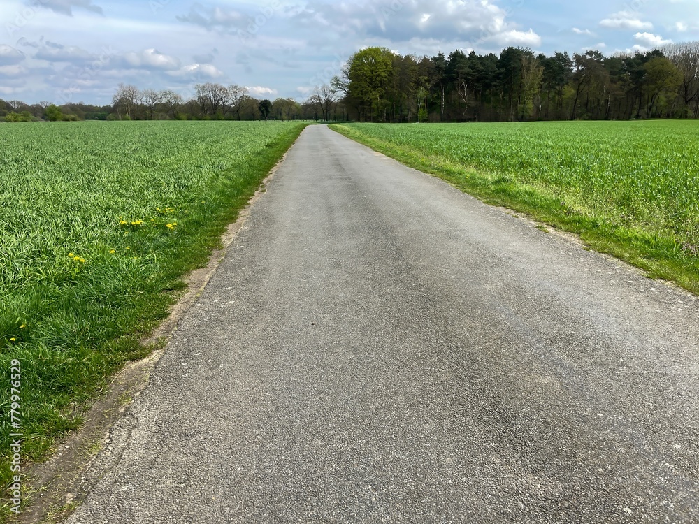 empty path through fields and meadows