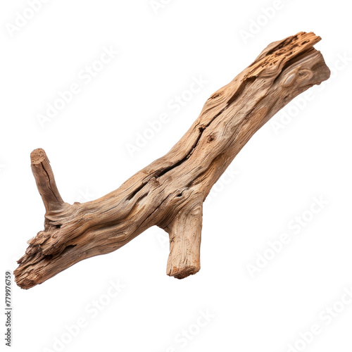 A piece of dry branch. Isolated on transparent background.