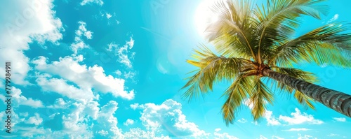 Vibrant image capturing a single, lush coconut palm tree against a clear blue sky with fluffy white clouds on a sunny day © amazingfotommm