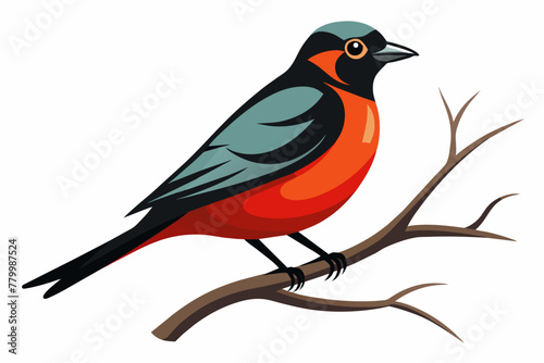 bird-on-a-bare-branch-vector-on-white-background