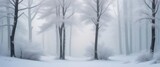 Snow Covered Forest Filled With Trees