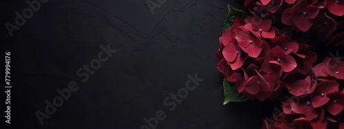 Dark red flowers on a dark background.