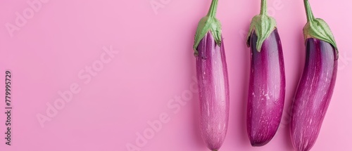   Three purple flowers against a pink backdrop; one flower features a green stalk emerging from its upper portion