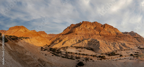Canvastavla Panorama of Nahal Arugot from Kibbutz Ein Gedi in the Judean Desert