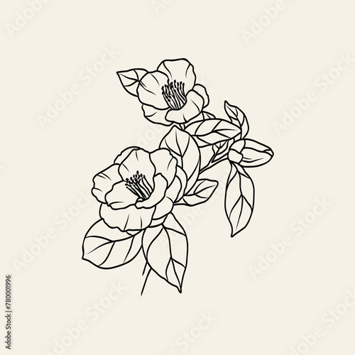 Line art camellia branch illustration © Maria