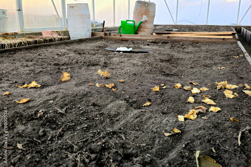 Obraz premium Springtime Preparations in the Greenhouse