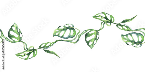 Photography Tropical palm leaves, monstera, liana, monkey mask bright juicy green