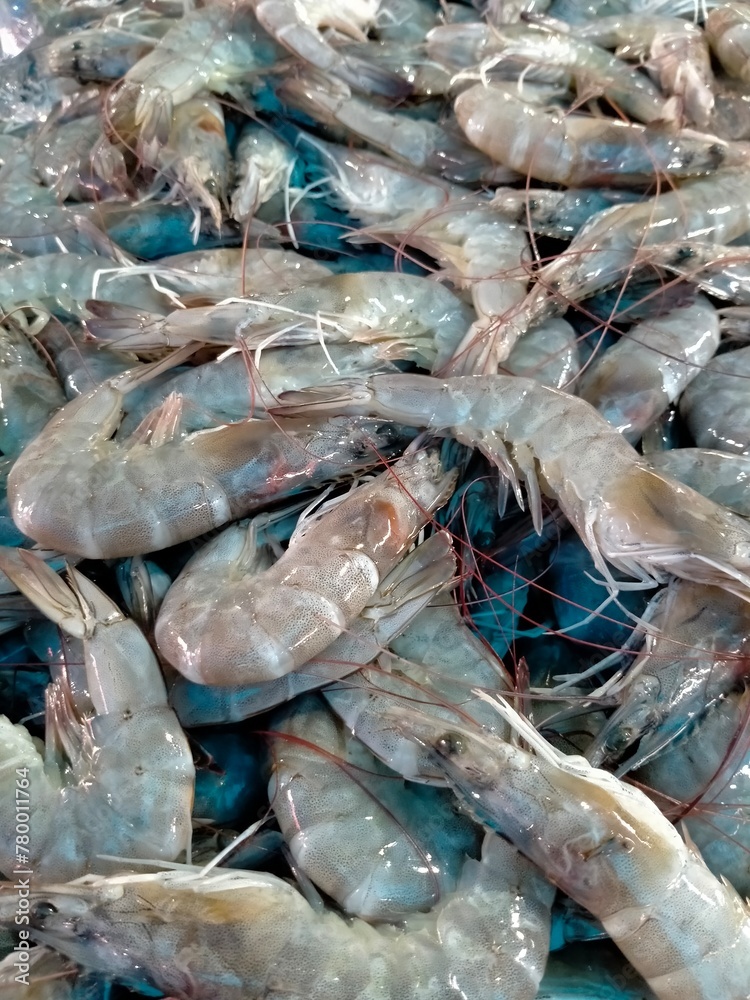 fresh shrimps at the market fresh shrimps at the market