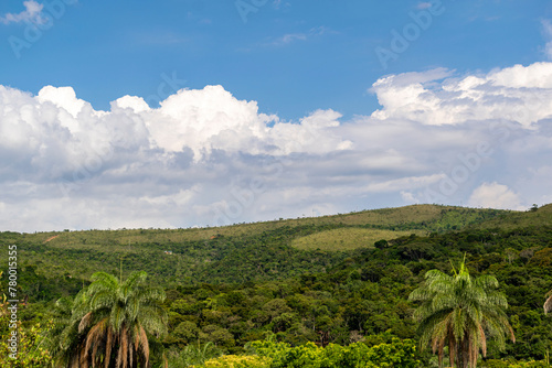 Panoramic mountain forest with beautiful blue sky with clouds.