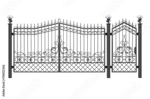 Forged gates and door with ornament.