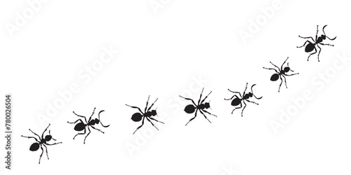 Silhouette of tracking ants isolated on a white background. Vector illustration.
