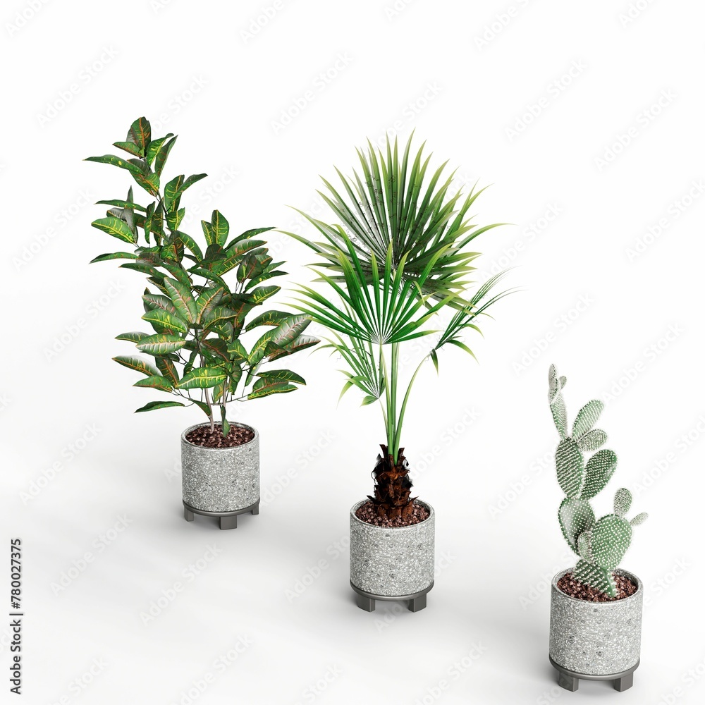 Fototapeta premium 3D illustration of potted plants on a white background