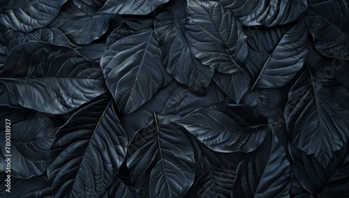 Abstract black background with large tropical leaves  dark texture. background dark nature concept with copy space.