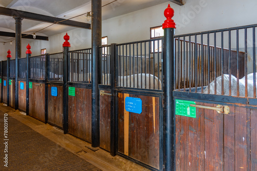 Vászonkép Stables at Slovenian village Lipica where famous Lipizzaner horses are bred