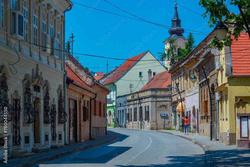 Naklejka premium Street in the center of Sremski Karlovci in Serbia