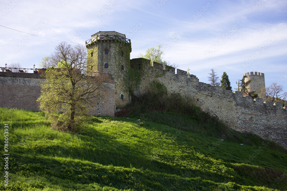 old castle in the mountains