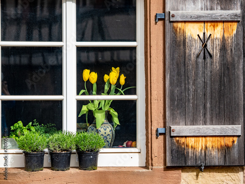 Tulpenstrauss am Fenster