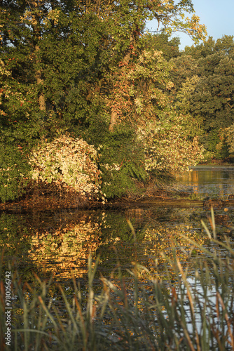 Reflections of Autumn