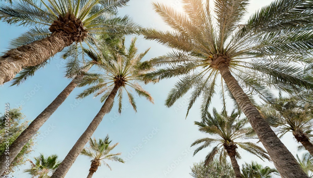Retro Retreat: Skyward View with Palm Trees and Summer Vibes