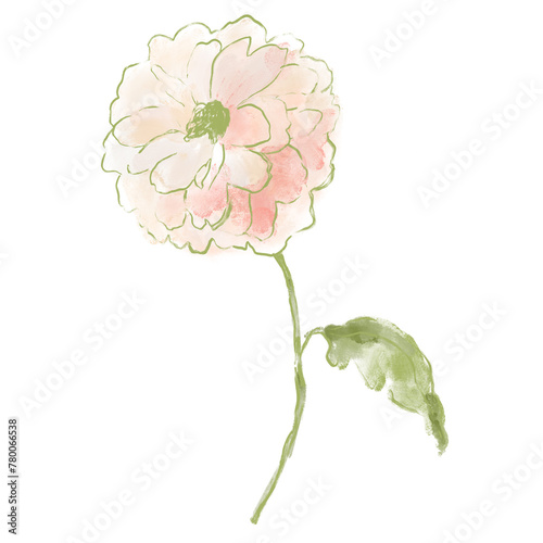 Oil painting abstract flower card of pink dahlia. Hand painted floral composition of wildflower isolated on white background. Holiday Illustration for design, print, fabric or background.