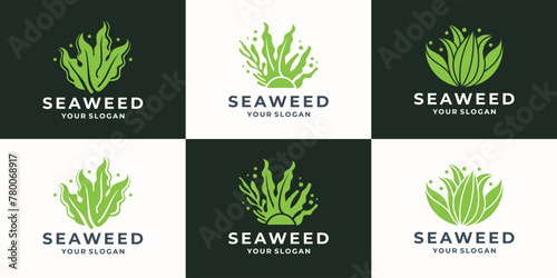 set of abstract seaweed logo design inspiration. sea corals and seaweed green collection vector illustration.