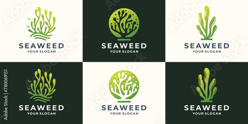 set of seaweeds of different variations on a white and dark green background.