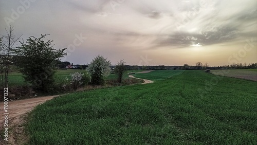 Countryside path and fields