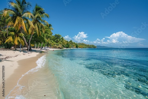 Tropical Beach With Palm Trees and Clear Water