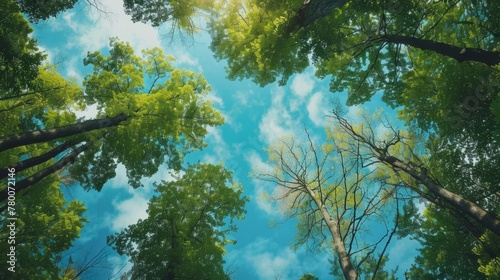 A view towards the sky from the trees generative ai