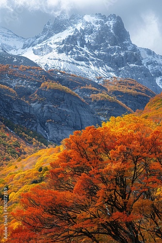 a mountain with orange and yellow leaves © Alison