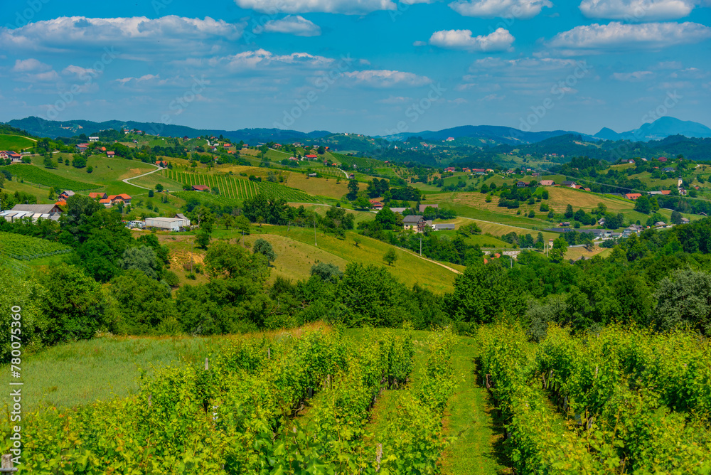 Fototapeta premium Aerial view of vineyards at Podcetrtek region of Slovenia