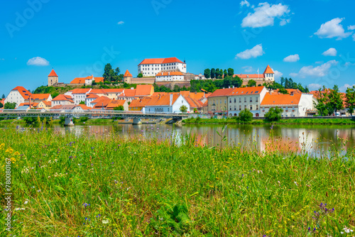 Wallpaper Mural Panorama view of Slovenian town Ptuj Torontodigital.ca