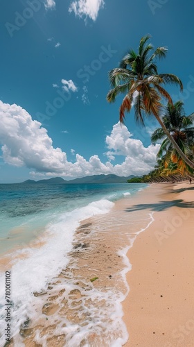 Sandy Beach With Palm Trees and Clear Blue Water