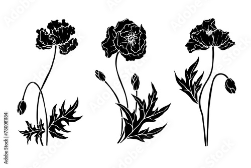 Set of botanical silhouettes of poppy field flower.Vector graphics.	